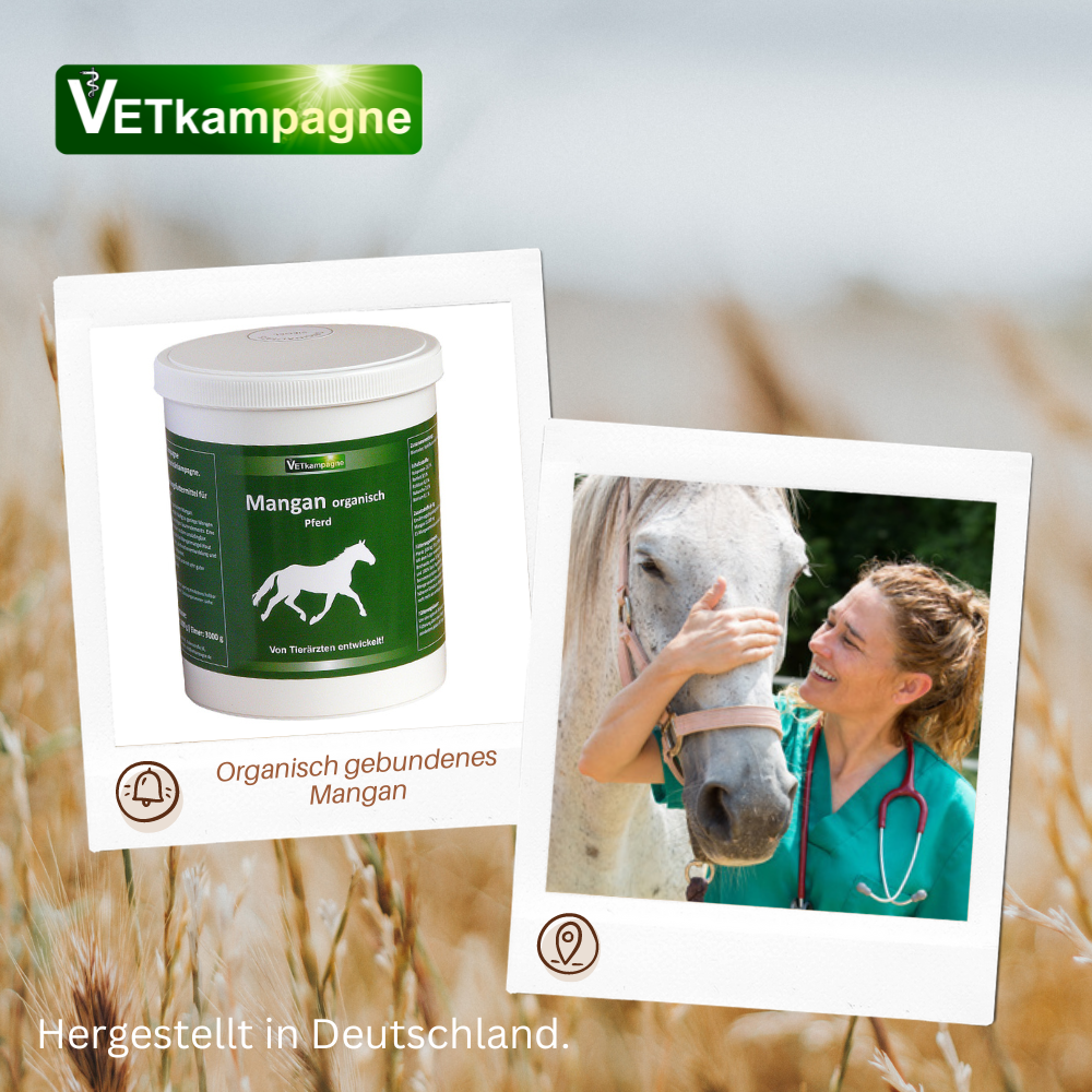 VETkampagne Mangan organisch Pferd 1000 g + 3 kg - Vetkampagne Tierarztshop